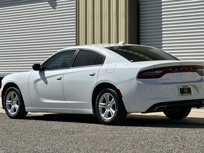Used 2023 Dodge Charger SXT