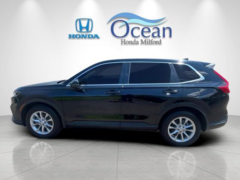 Used 2025 Honda CR-V EX-L image 6