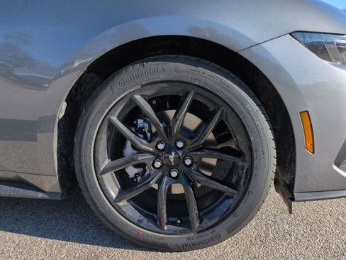 New 2026 Ford Mustang Coupe w/ Mustang Nite Pony Package image 12