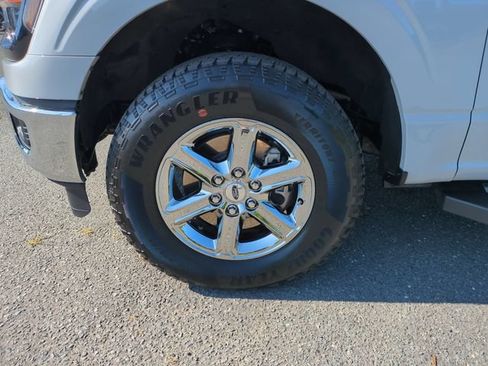 Used 2025 Ford F150 XLT w/ Equipment Group 301A Standard AWD/4WD image 10