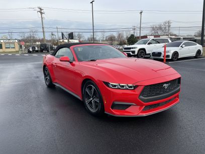 Used 2025 Ford Mustang Premium