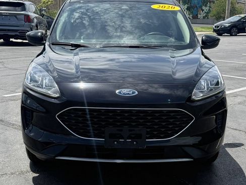 Used 2020 Ford Escape SE AWD/4WD image 5