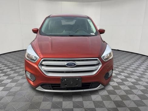 Used 2019 Ford Escape SE AWD/4WD image 13