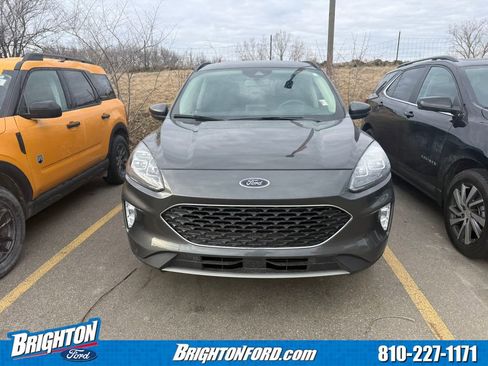 Certified 2020 Ford Escape Titanium image 2