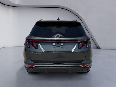 Used 2022 Hyundai Tucson SEL w/ Convenience + Premium Package