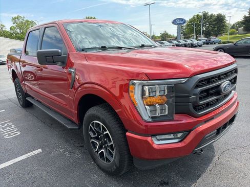 Used 2023 Ford F150 XLT w/ Equipment Group 302A High AWD/4WD image 6