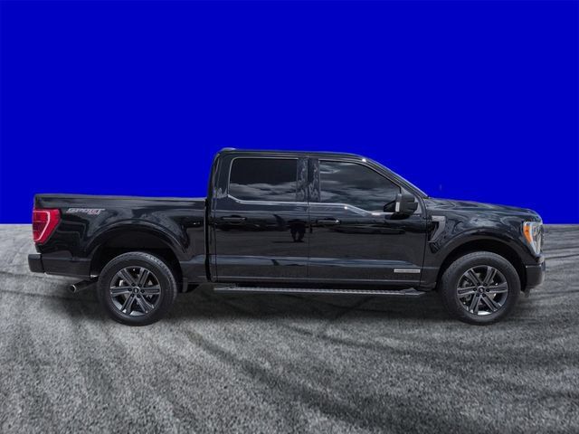 Certified 2023 Ford F150 XLT w/ Equipment Group 302A High AWD/4WD image 3