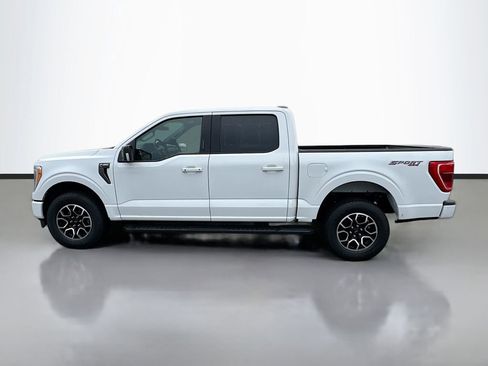 Used 2023 Ford F150 XLT w/ Equipment Group 302A High image 4