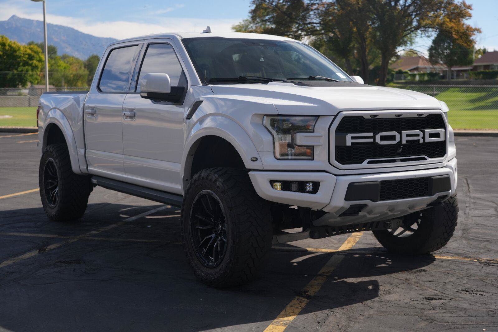 Used 2019 Ford F150 Raptor w/ Equipment Group 802A Luxury AWD/4WD image 7