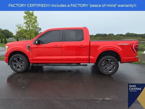 Used 2023 Ford F150 XLT w/ Equipment Group 302A High AWD/4WD image 14