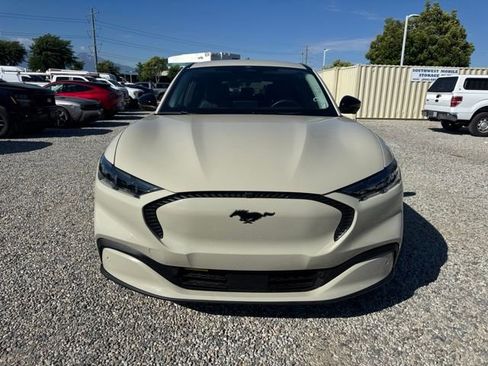 Used 2025 Ford Mustang Mach-E Select w/ Comfort Package Lite AWD/4WD image 5