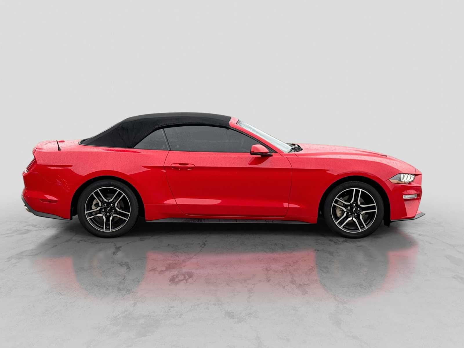 Used 2019 Ford Mustang Premium w/ Equipment Group 201A RWD image 7
