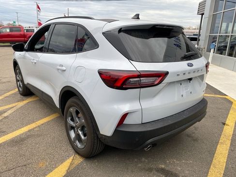 Used 2025 Ford Escape ST-Line w/ Tech Pack #1 image 3