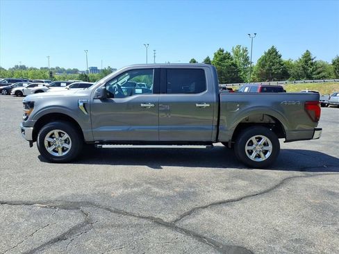 Used 2025 Ford F150 XLT w/ Equipment Group 301A Standard AWD/4WD image 6