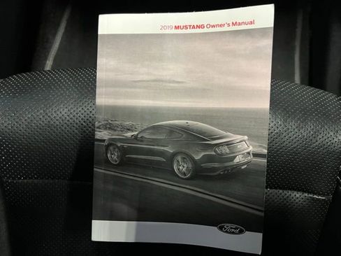 Used 2019 Ford Mustang Premium w/ Equipment Group 201A image 46
