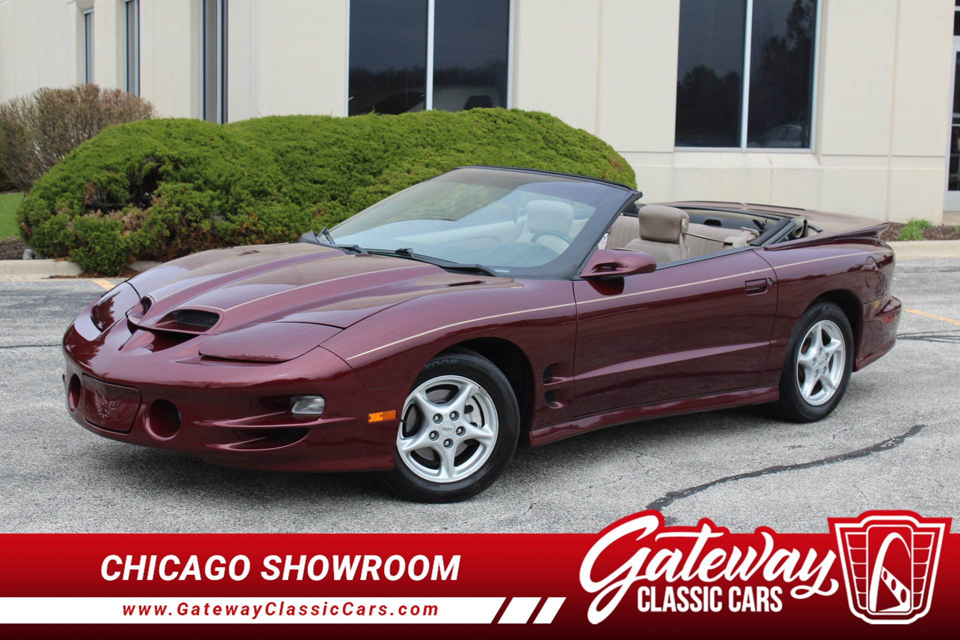 Used 2000 Pontiac Firebird Trans Am RWD image 1