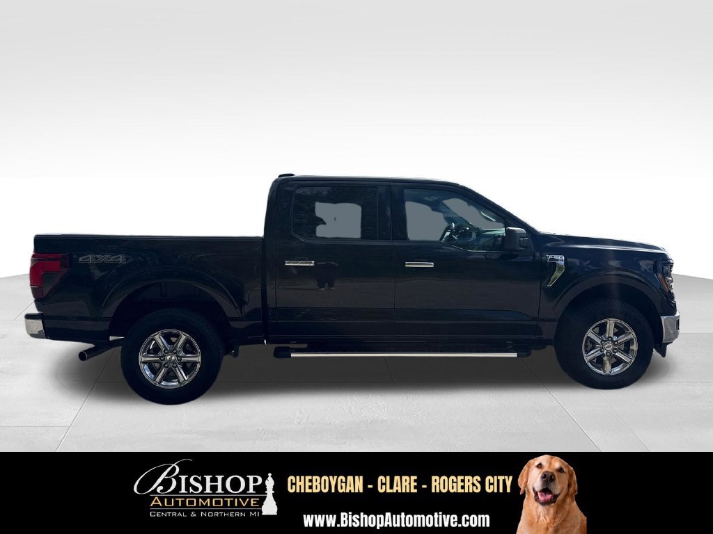 Used 2025 Ford F150 XLT w/ Equipment Group 301A Standard AWD/4WD image 12