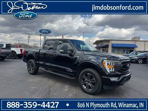 Used 2022 Ford F150 XLT w/ Equipment Group 302A High AWD/4WD image 1