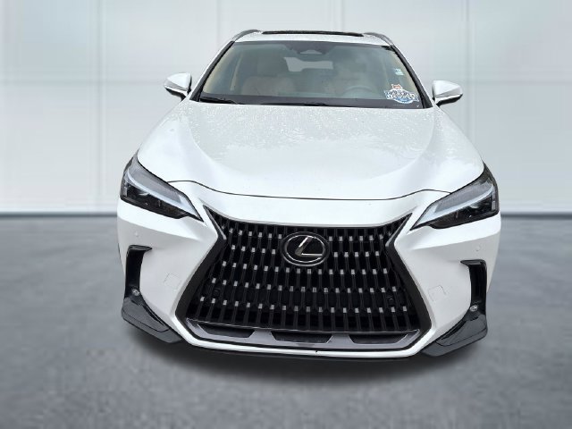 Used 2024 Lexus NX 350h AWD image 6