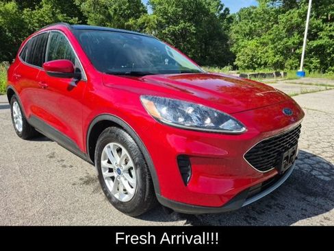 Used 2020 Ford Escape SE FWD image 9