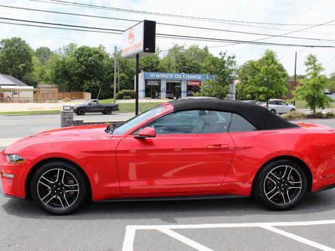 Used 2020 Ford Mustang Premium RWD image 9