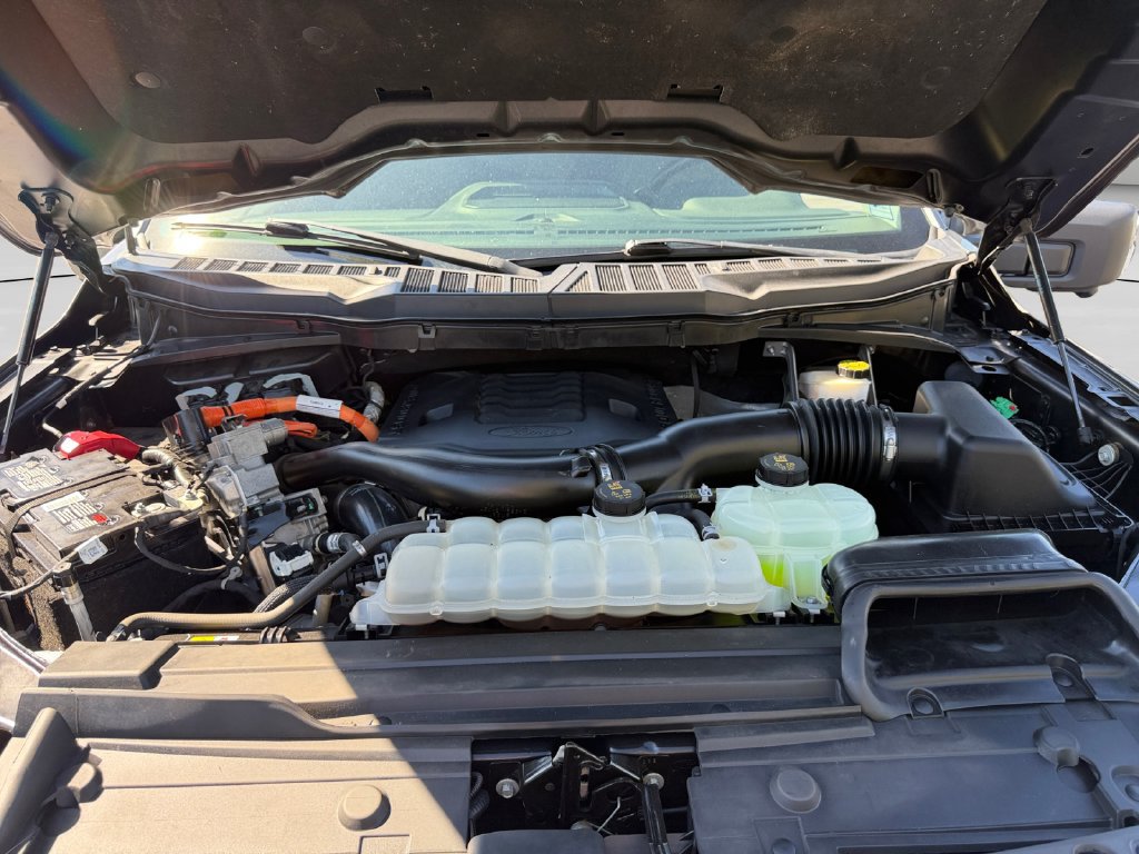 Used 2021 Ford F150 XLT w/ Equipment Group 302A High AWD/4WD image 19