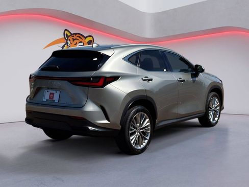 Used 2025 Lexus NX 350 AWD w/ Premium Package image 5