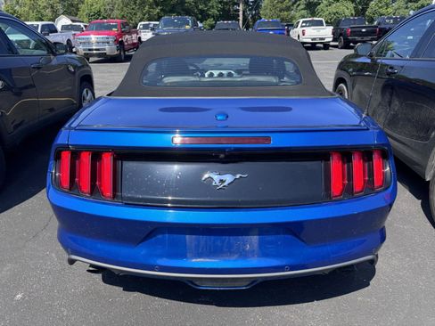Used 2017 Ford Mustang Premium w/ Equipment Group 201A RWD image 5