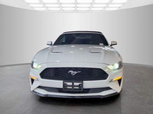 Used 2019 Ford Mustang Premium w/ Equipment Group 201A image 2