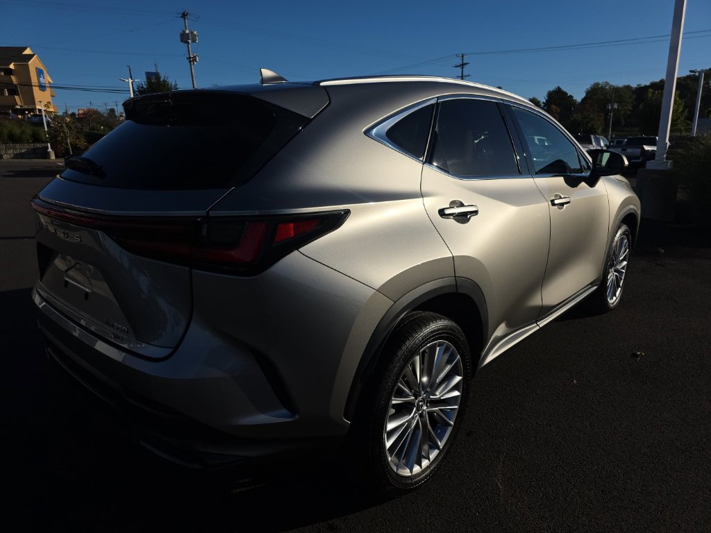 Used 2025 Lexus NX 350 AWD w/ Accessory Package (2T) image 7