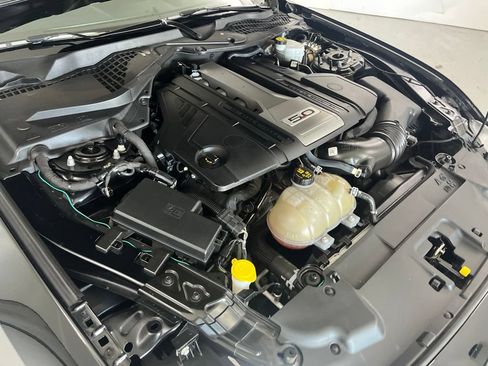 Used 2019 Ford Mustang GT w/ Equipment Group 301A RWD image 11
