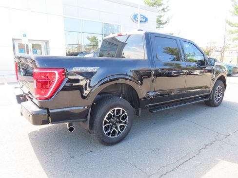 Used 2023 Ford F150 XLT w/ Equipment Group 302A High image 5