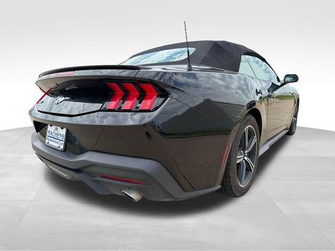 Used 2024 Ford Mustang Premium RWD image 7