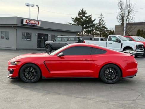 Used 2016 Ford Mustang Shelby GT350 w/ Technology Package image 6