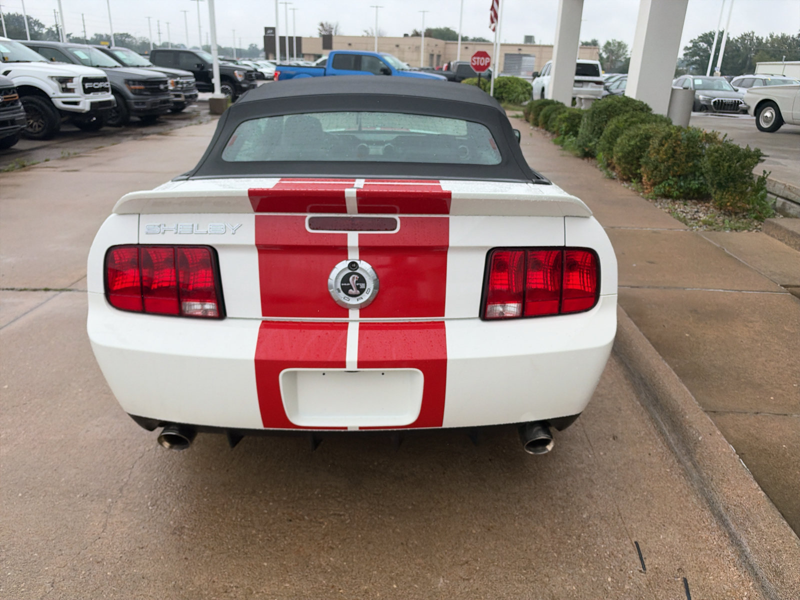 Used 2008 Ford Mustang Shelby GT500 RWD image 7