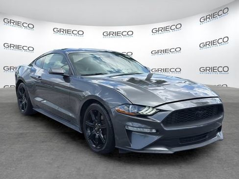 Used 2019 Ford Mustang Premium w/ Equipment Group 201A RWD image 1