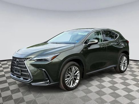 Used 2025 Lexus NX 350 AWD w/ Rear Seat Package image 5