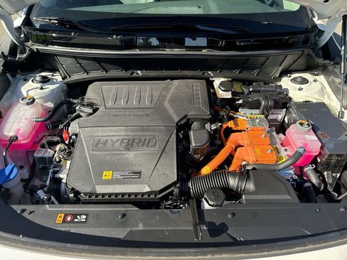 Used 2025 Kia Niro SX Touring image 14