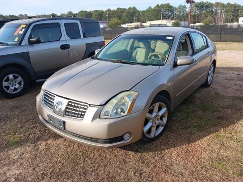 Used 2006 Nissan Maxima 3.5 SE image 10