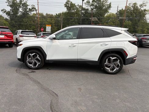 Used 2024 Hyundai Tucson Limited AWD/4WD image 4