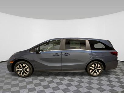 New 2026 Honda Odyssey EX-L