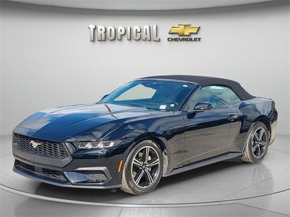 Used 2025 Ford Mustang Premium
