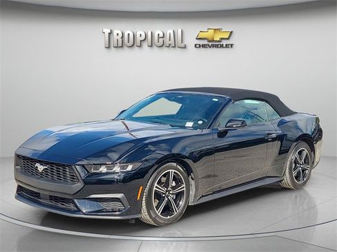 Used 2025 Ford Mustang Premium image 1