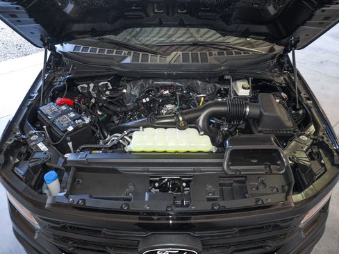 New 2026 Ford F150 XLT w/ XLT Black Appearance Package image 21