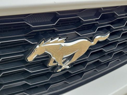 Used 2016 Ford Mustang Convertible image 4