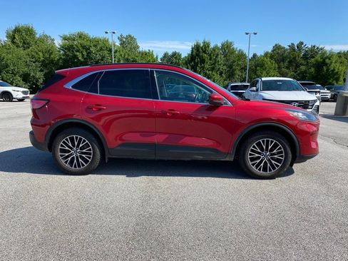 Used 2021 Ford Escape Titanium w/ Titanium Premium Package FWD image 8