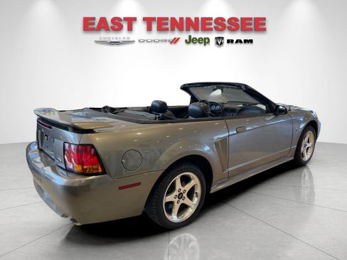 Used 2001 Ford Mustang Cobra image 5