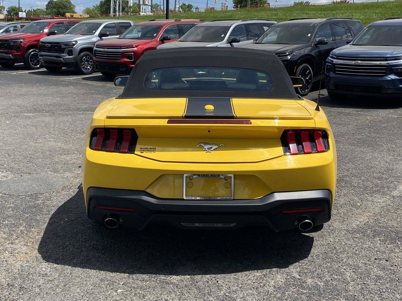 Used 2024 Ford Mustang Premium RWD image 5