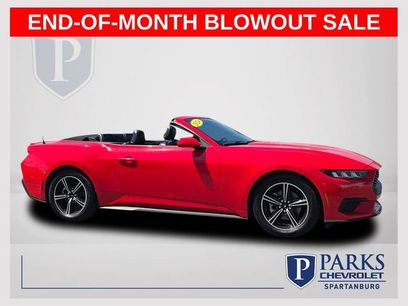 Used 2024 Ford Mustang Premium