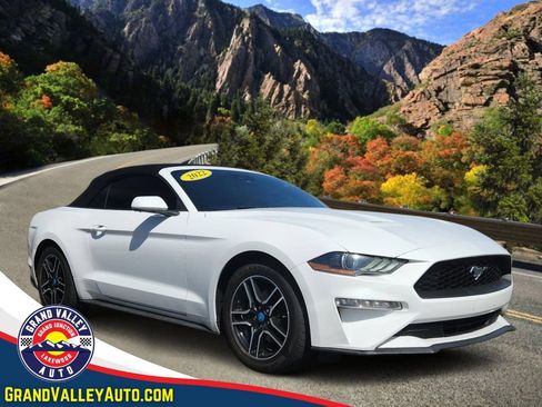 Used 2022 Ford Mustang Premium RWD image 1